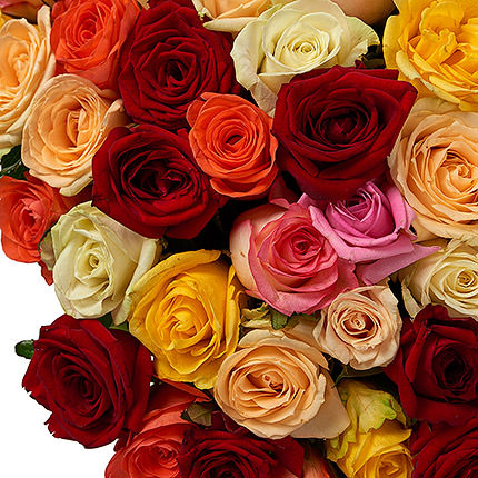 151 разноцветная роза – заказать с доставкой