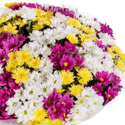 51 різнокольорова хризантема – доставка по Україні