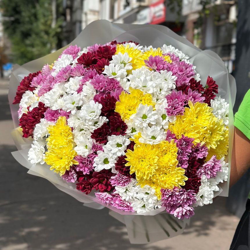51 multicolored chrysanthemums