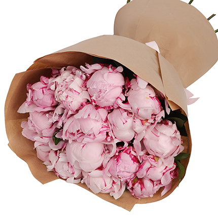 15 нежных пионов – заказать с доставкой