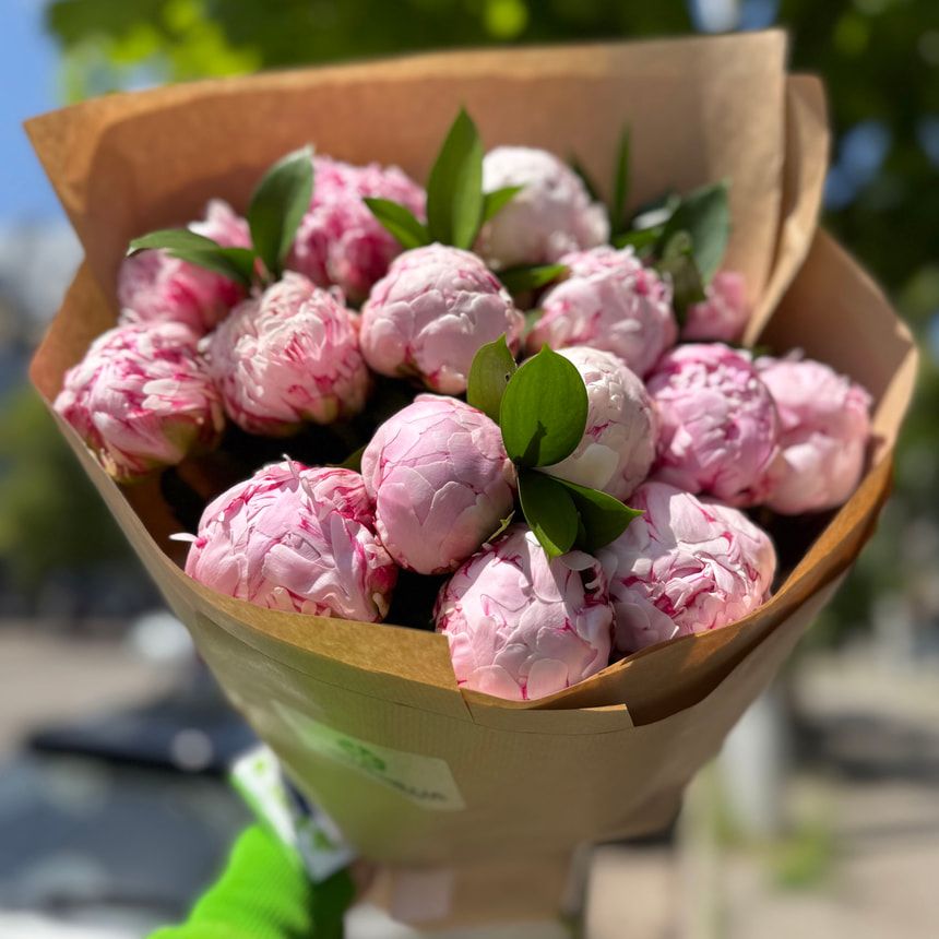 15 ніжних півоній – замовити на Flowers.ua