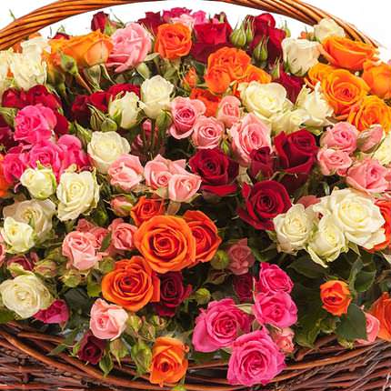 Basket "101 multicolored spray rose" – delivery in Ukraine