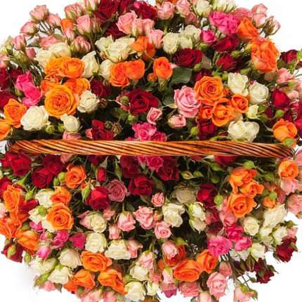 Basket "101 multicolored spray rose" – order with delivery