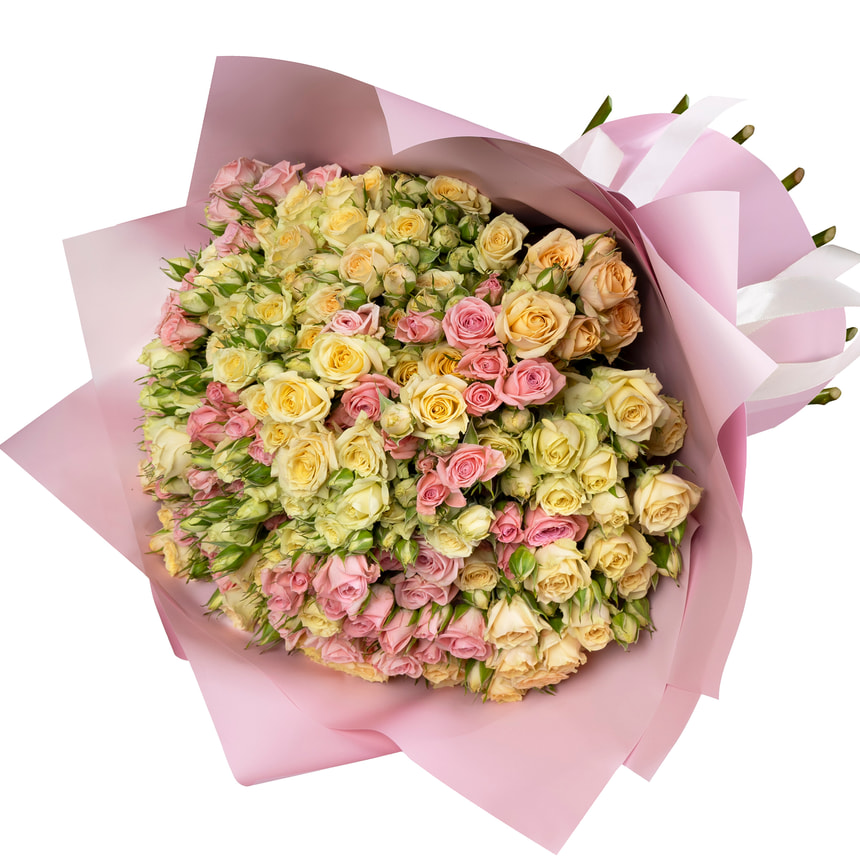 "Rose Planet" mix of 51 bush roses – order with delivery