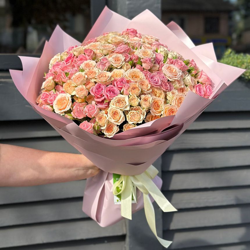 "Rose Planet" mix of 51 bush roses