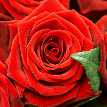 Композиція в коробці "Коханій" – замовити з доставкою