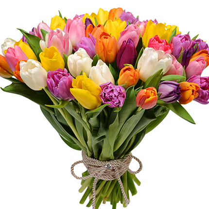 51 multicolored tulips! – delivery in Ukraine