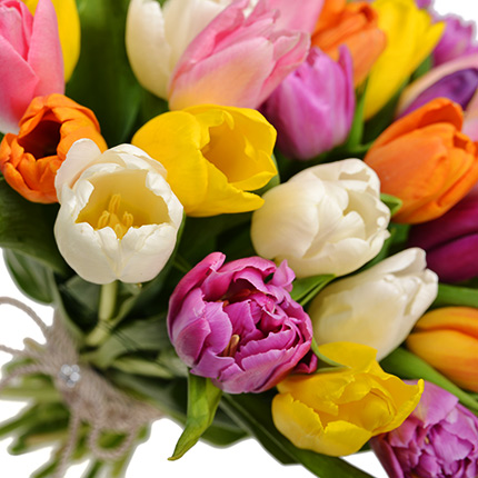 51 multicolored tulips! – order with delivery