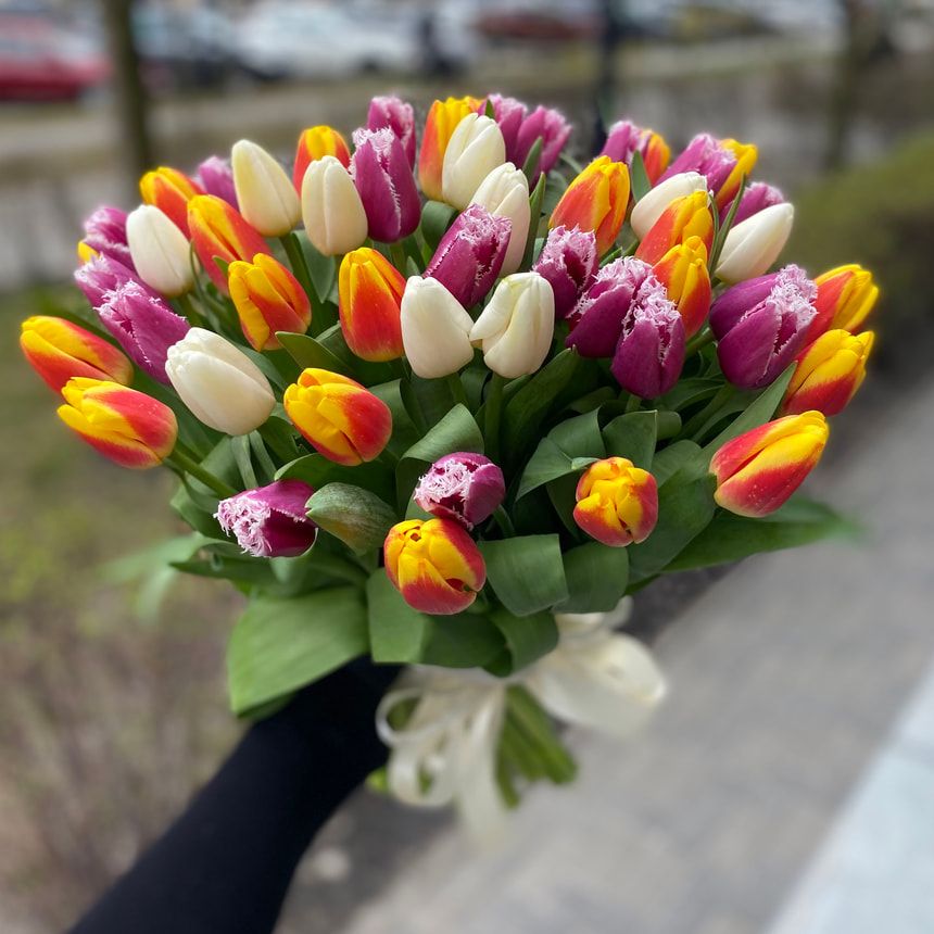 51 разноцветный тюльпан! – заказать у Flowers.ua
