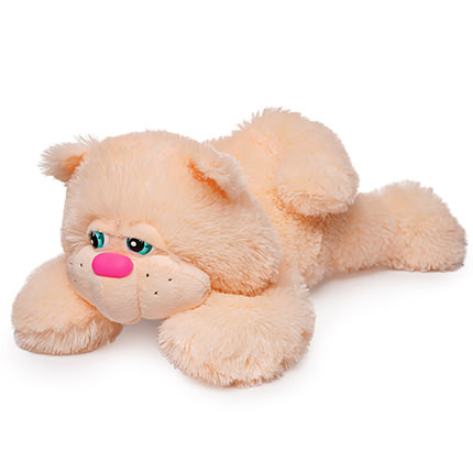 Kitty "Tom" 55 sm – delivery in Ukraine