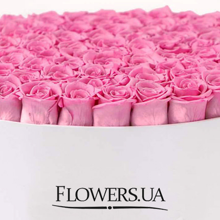 Квіти в коробці "101 рожева троянда" – доставка по Україні