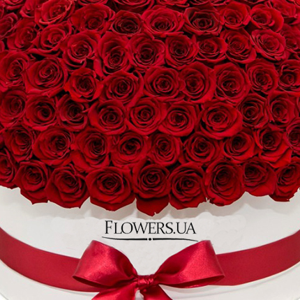 Flowers in a white box "151 red roses" – delivery in Ukraine