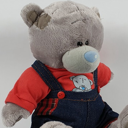 Teddy Bear (boy) 20 sm – delivery in Ukraine