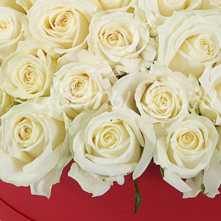Composition in a box "51 white roses" – delivery in Ukraine