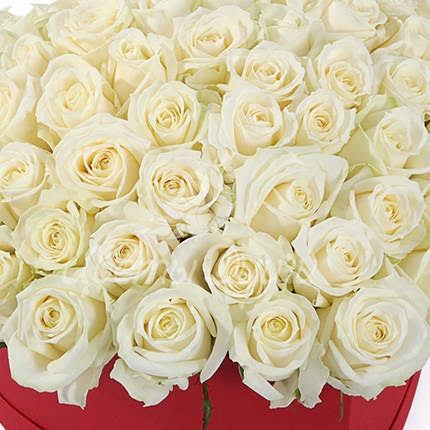 Composition in a box "51 white roses" – order with delivery