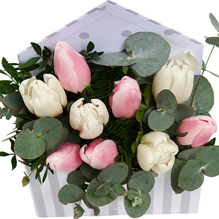 Композиція в кашпо "Маленьке диво" – замовити з доставкою