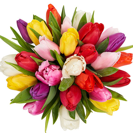 Квіти в коробці "25 різнокольорових тюльпанів" – замовити з доставкою