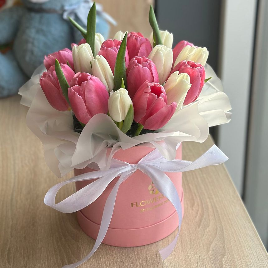 Flowers in a box "21 white and pink tulip" – order from Flowers.ua