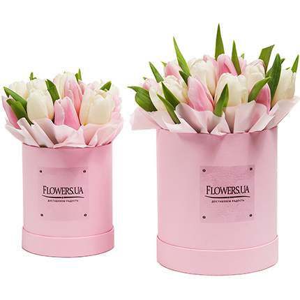 Set "Mom and daughter" – order with delivery