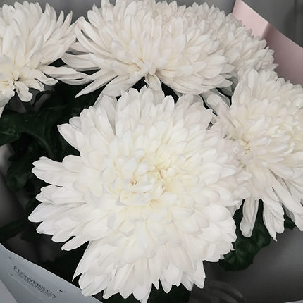 5 білих хризантем – доставка по Україні