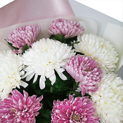 9 белых и розовых хризантем – заказать с доставкой