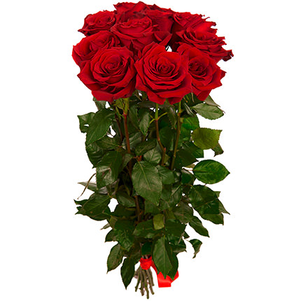 11 roses one meter high – delivery in Ukraine