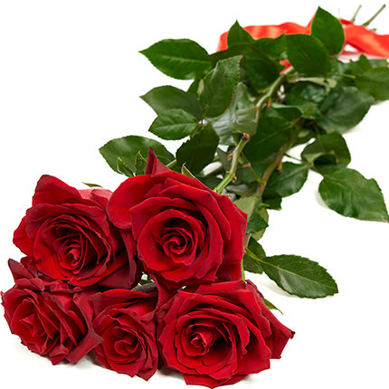 5 метровых роз – заказать с доставкой