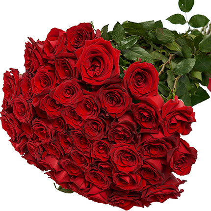 51 красная метровая роза – заказать с доставкой