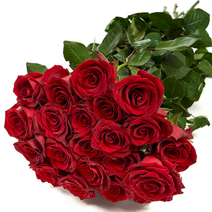 25 roses one meter high – delivery in Ukraine