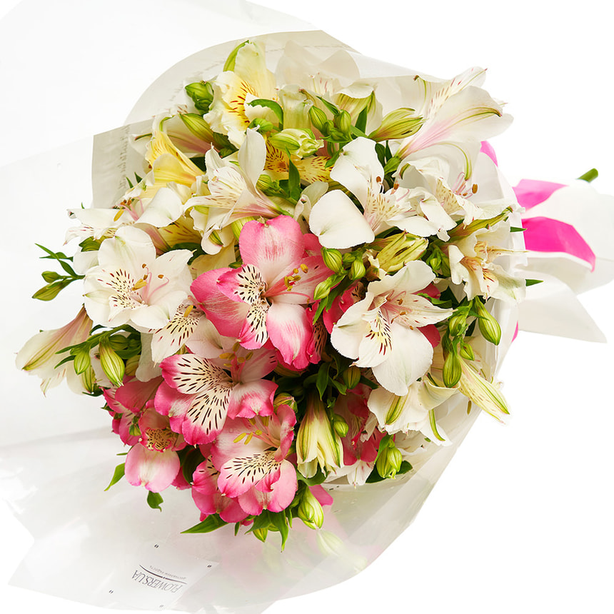 7 ніжних альстромерій – замовити з доставкою