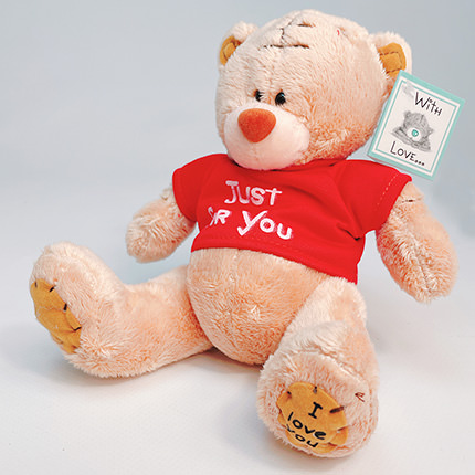 М'яка іграшка "Ведмедик Тедді" (хлопчик) 20 см – замовити з доставкою