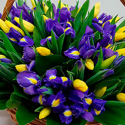 Корзина 25 желтых тюльпанов с ирисами – заказать с доставкой