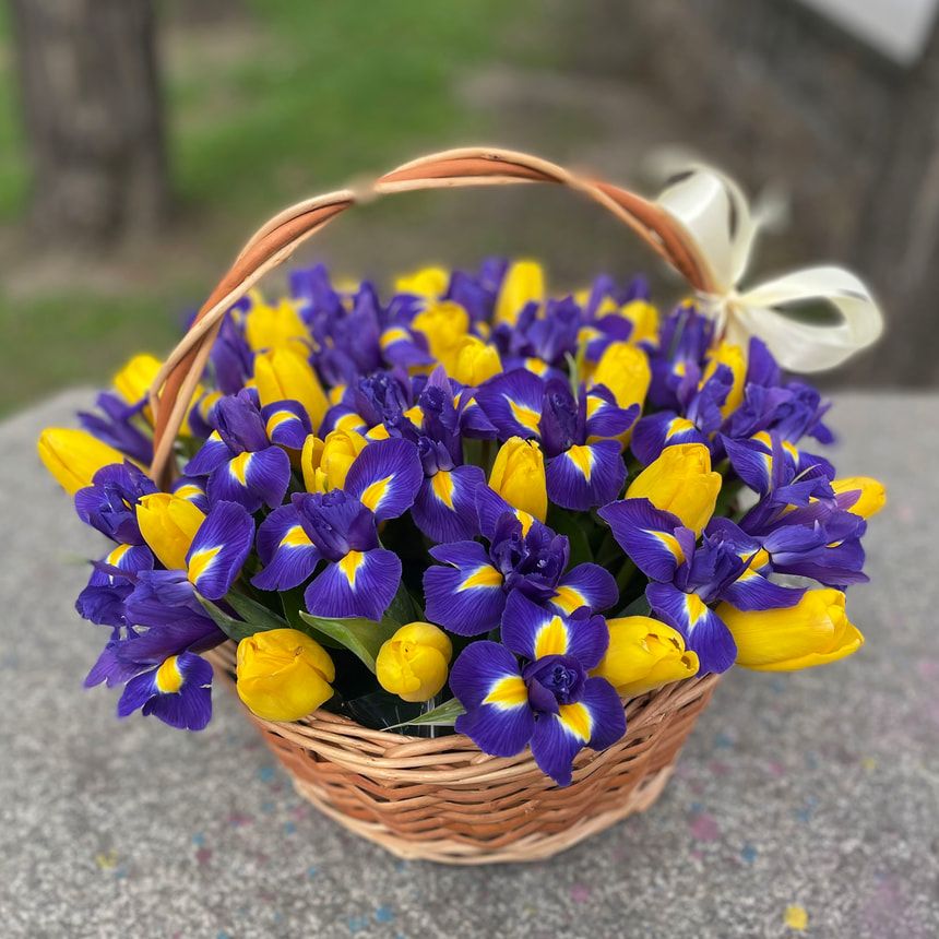 Кошик 25 жовтих тюльпанів з ірисами