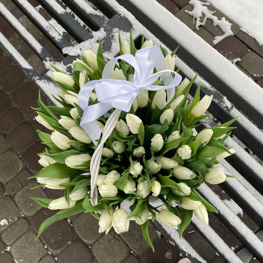 Кошик 75 білих тюльпанів
