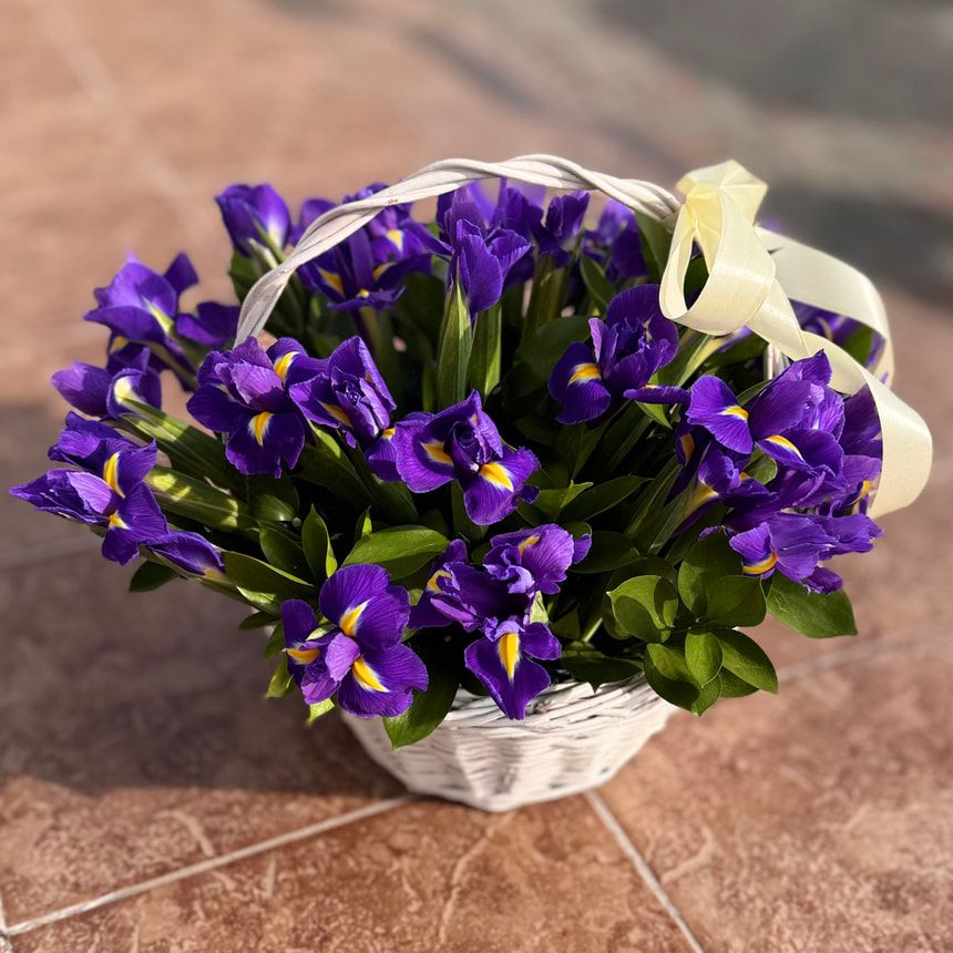 Basket 37 irises – order from Flowers.ua