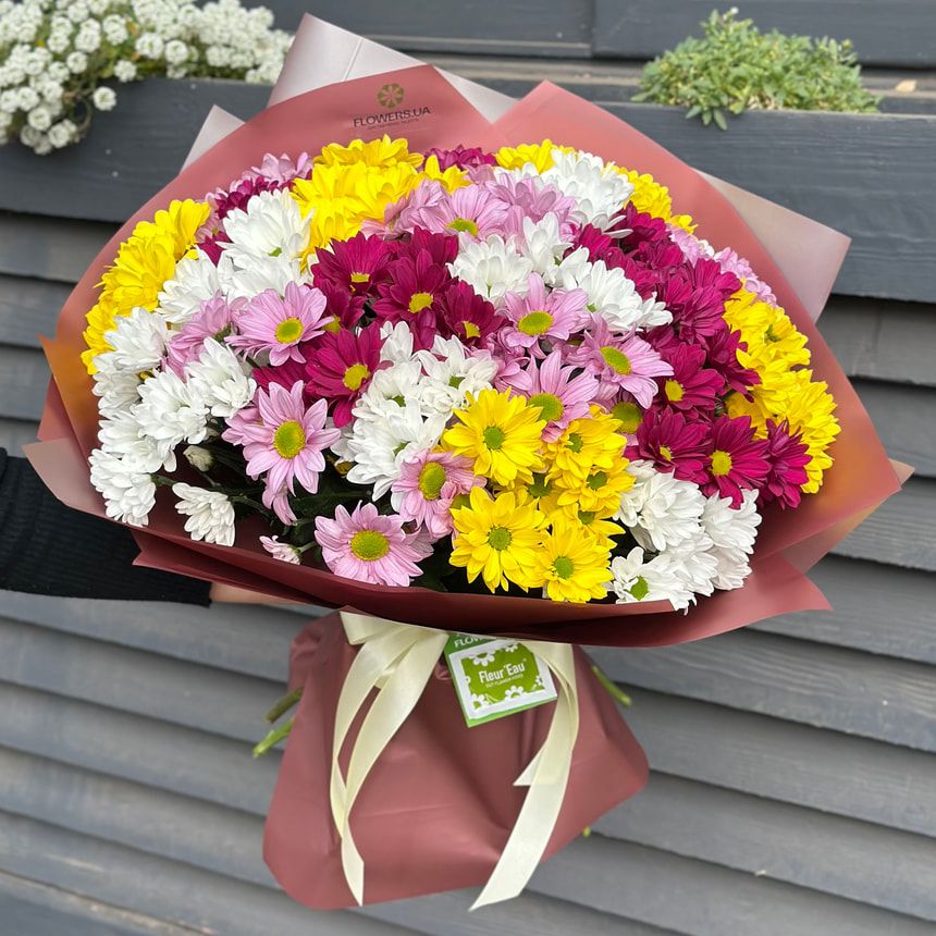 25 multi-colored chrysanthemums! – order from Flowers.ua