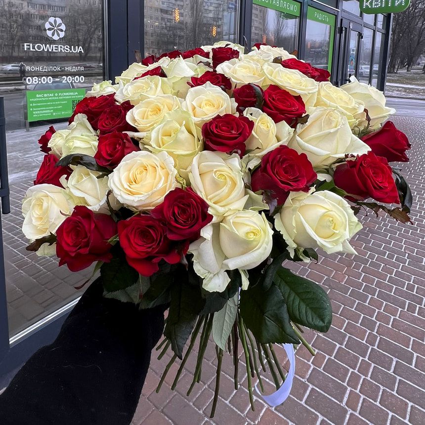 51 красная и белая роза! – заказать у Flowers.ua