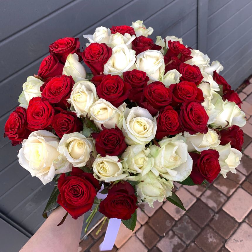 51 красная и белая роза!