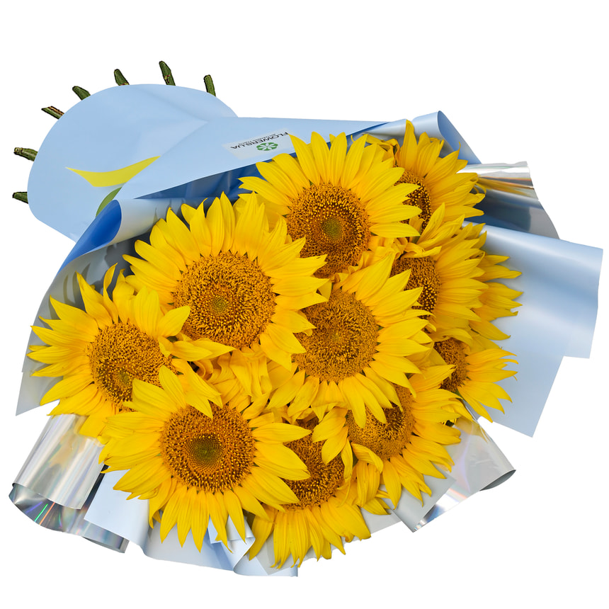 Bouquet "11 bright sunflowers" – order with delivery