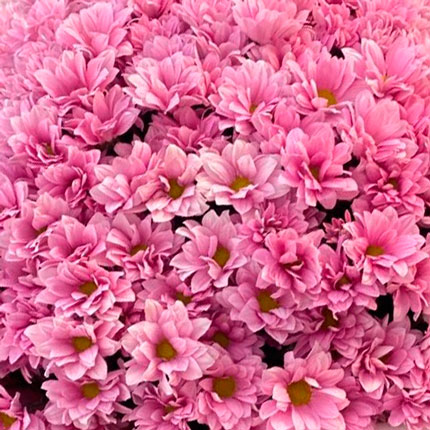 Букет "Свіже рішення" – замовити з доставкою