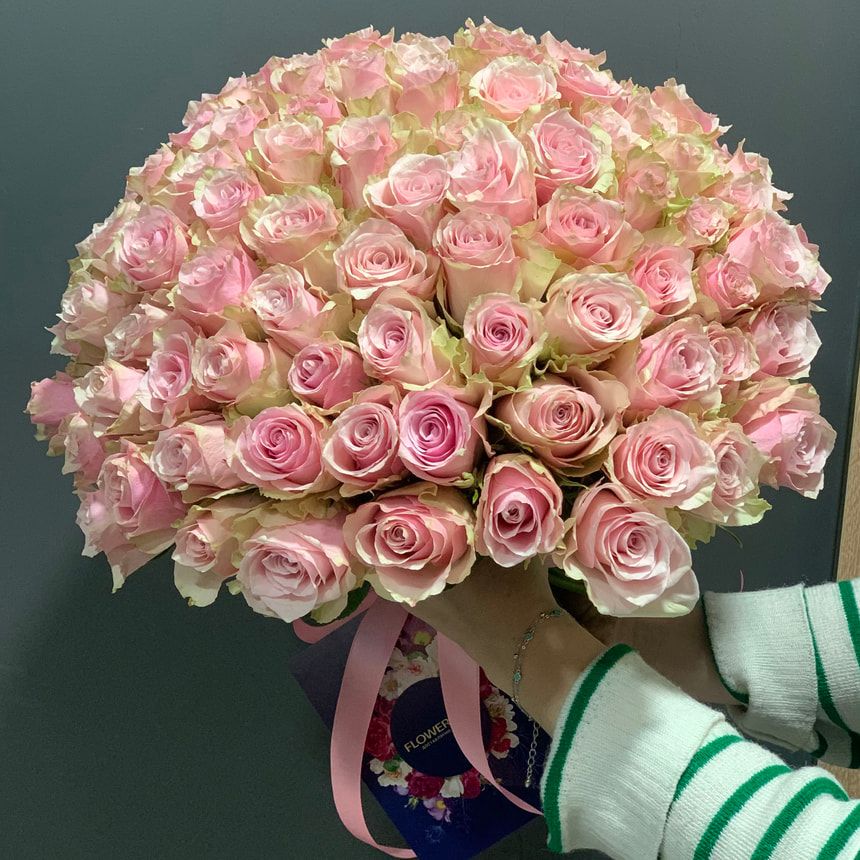 101 Pink Athena roses (Kenya) – order from Flowers.ua