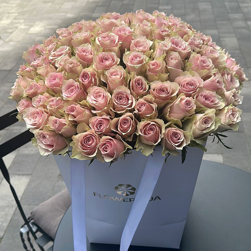 101 Pink Athena roses (Kenya)