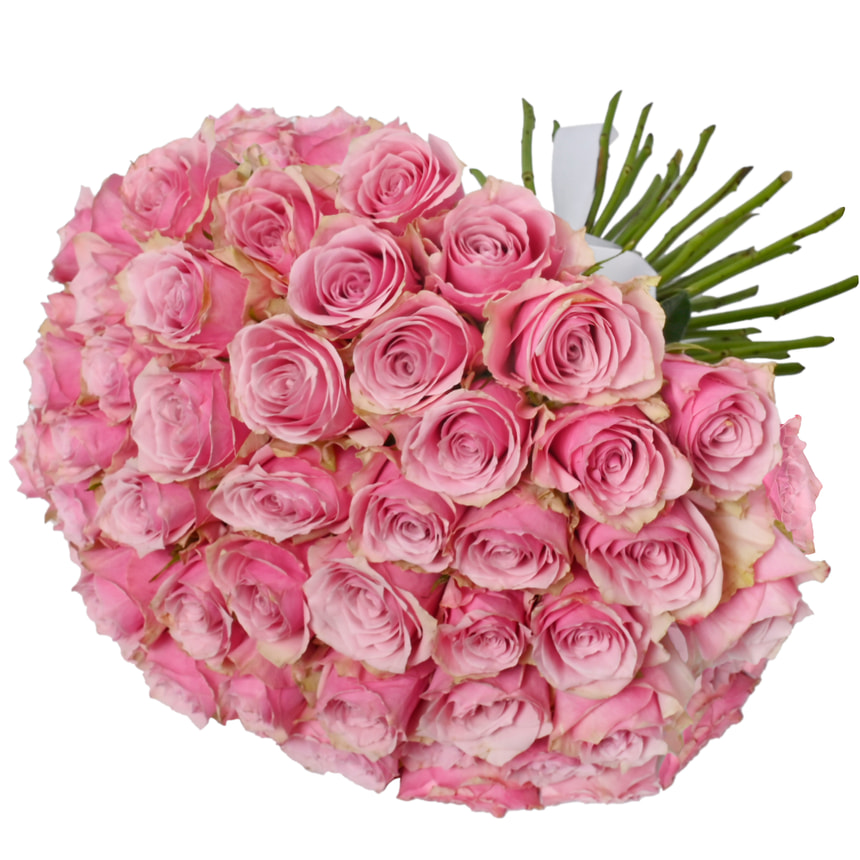 51 роза Athena Royale (Кения) – заказать с доставкой