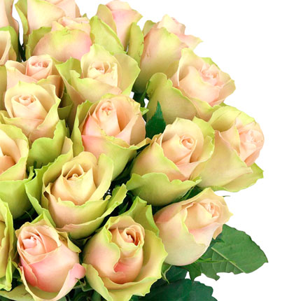 25 роз La Belle (Кения) – заказать с доставкой