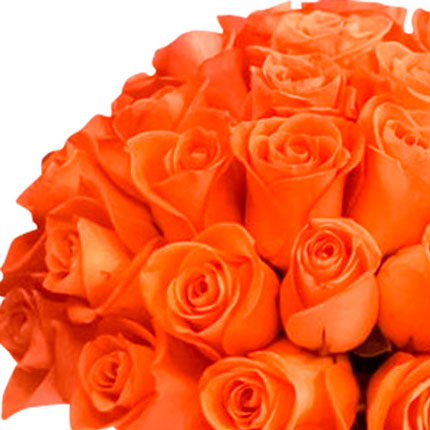 Box "29 orange roses" – order with delivery