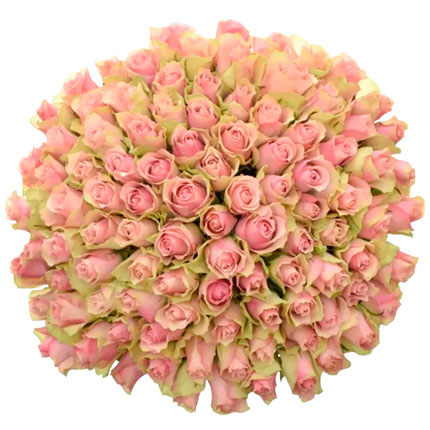 101 троянда Belle Rose (Кенія) – доставка по Україні