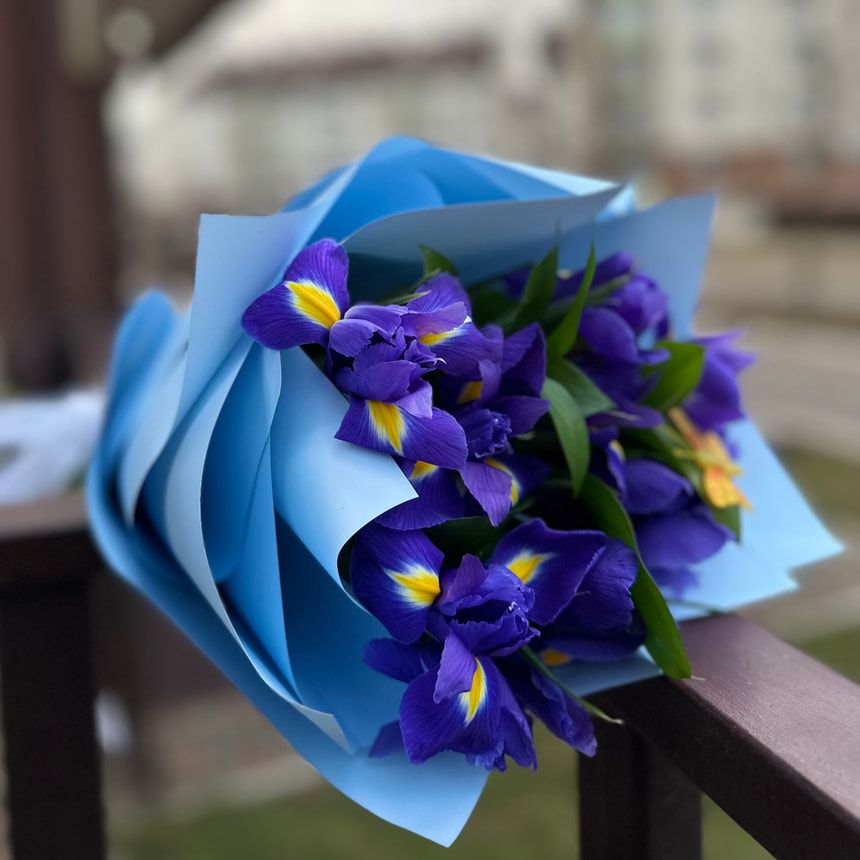 Bouquet "11 purple irises"
