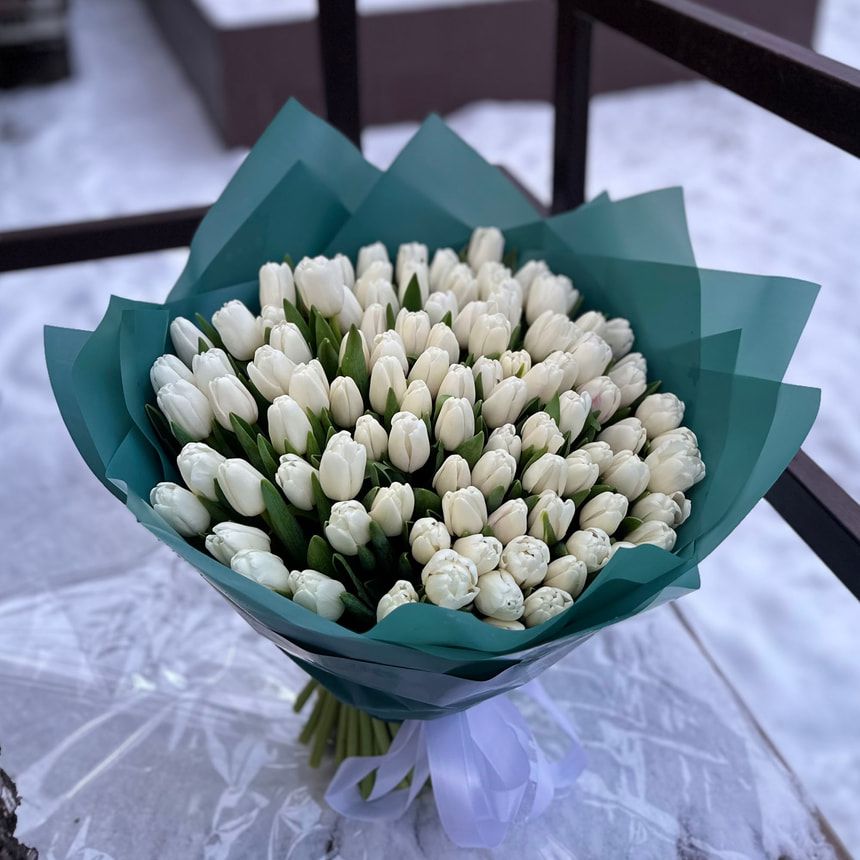 101 белый тюльпан!