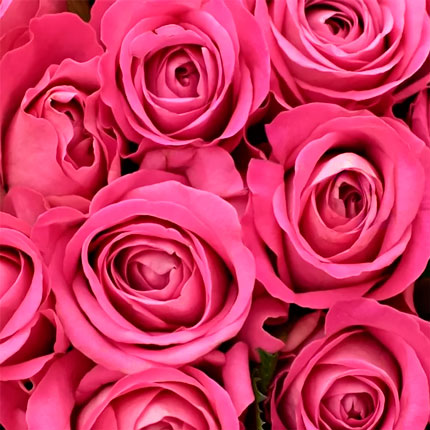 25 розовых роз (Кения) – заказать с доставкой