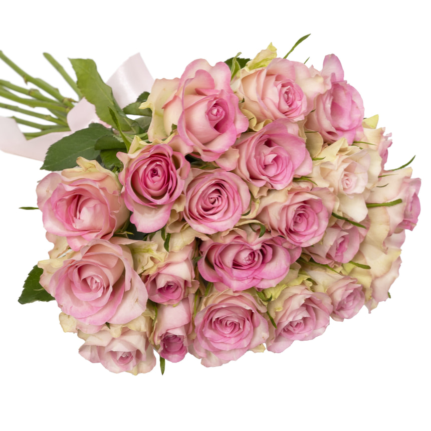 21 Lovely Jewel roses (Kenya) – order with delivery